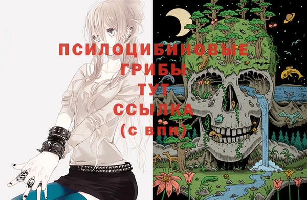 МДПВ Баксан