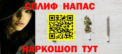 прущие грибы Кингисепп