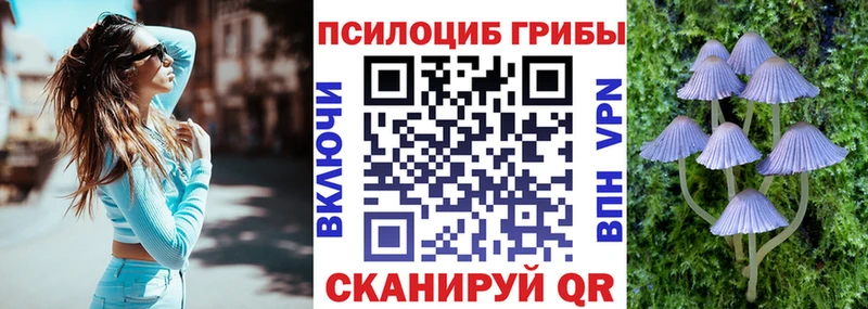 хочу Краснокаменск Псилоцибиновые грибы прущие грибы