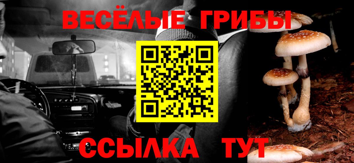 Краснокаменск  Галлюциногенные грибы мицелий  Вход с VPN 